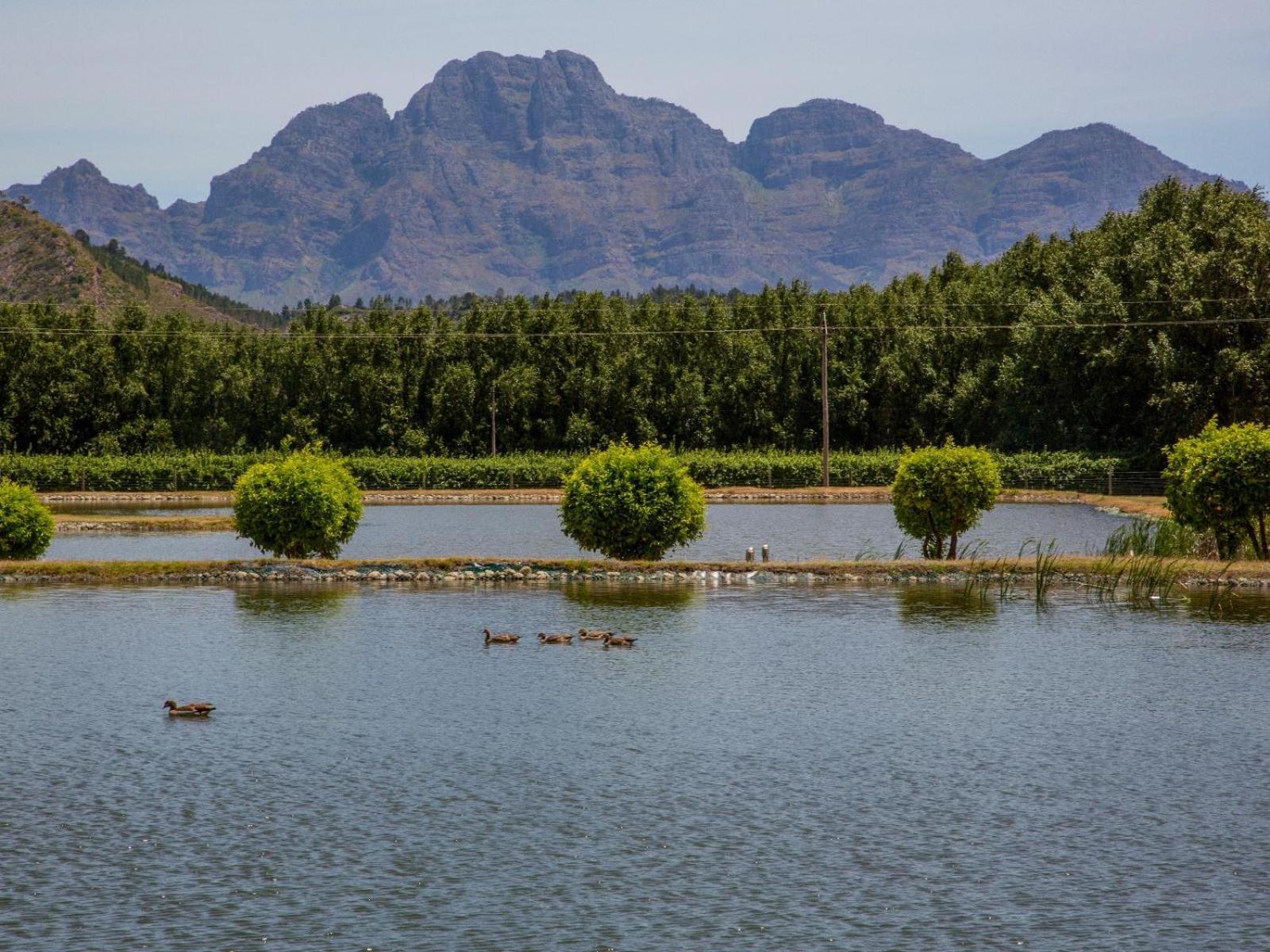 Willa La Ferme Guest Farm - Hot Tubs Franschhoek Zewnętrze zdjęcie