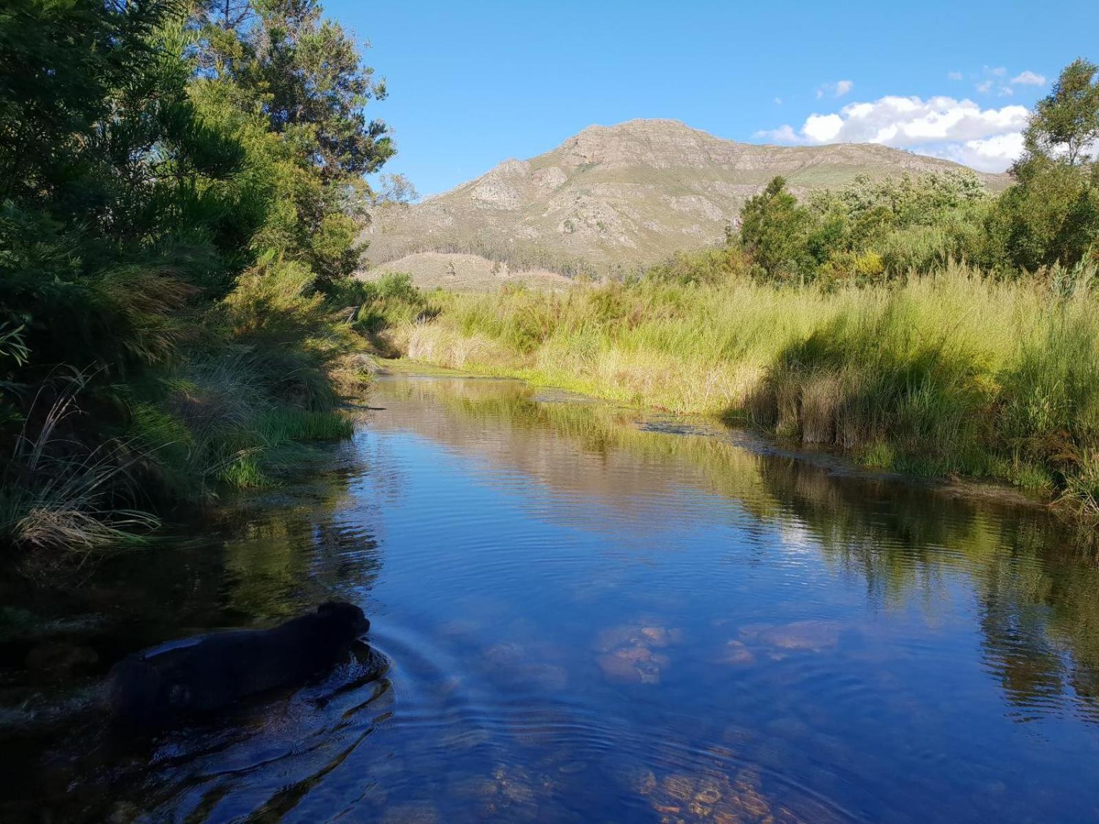 Willa La Ferme Guest Farm - Hot Tubs Franschhoek Zewnętrze zdjęcie