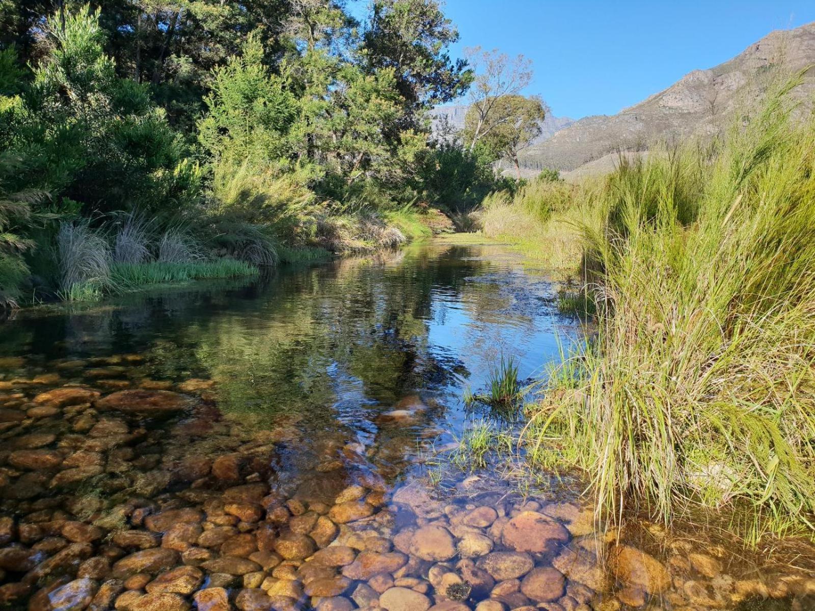 Willa La Ferme Guest Farm - Hot Tubs Franschhoek Zewnętrze zdjęcie