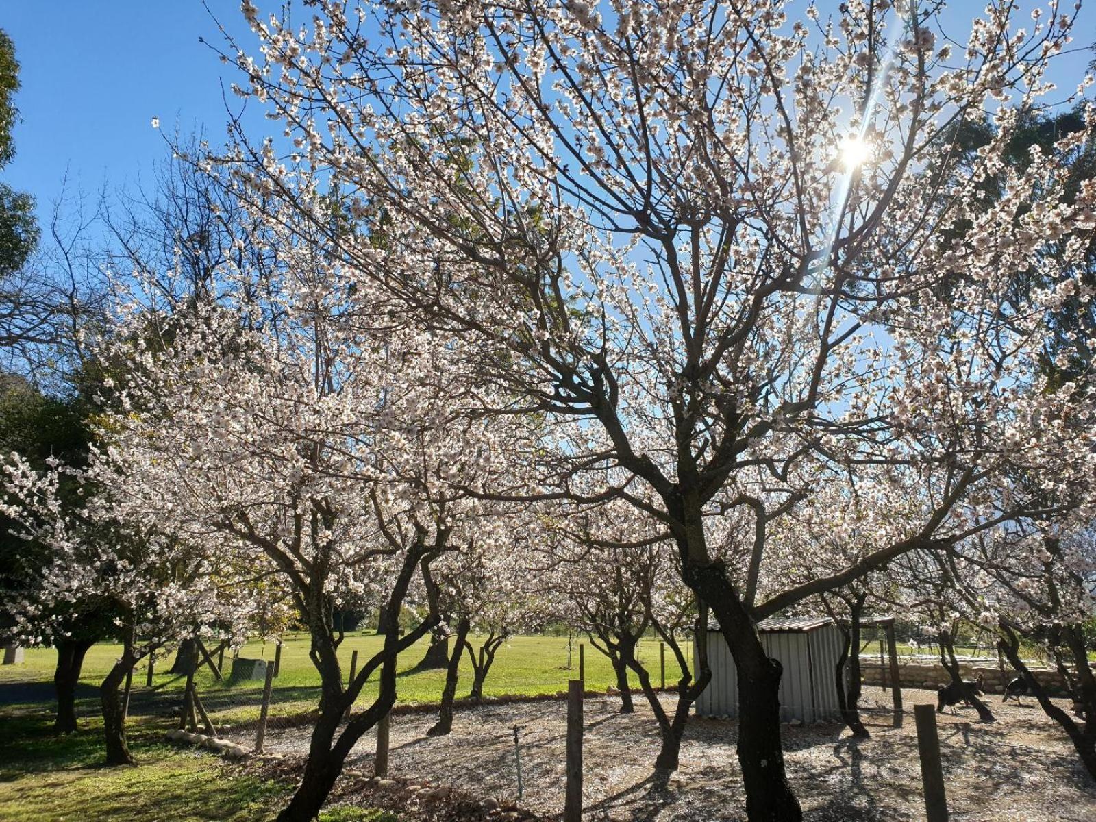 Willa La Ferme Guest Farm - Hot Tubs Franschhoek Zewnętrze zdjęcie